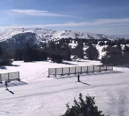 Bela Reka C206 Brzeće