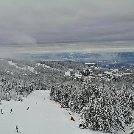 Bela Reka C206 Brzeće