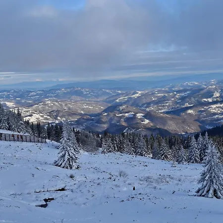 Bela Reka C206 * Brzeće