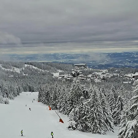 Apartman Bela Reka C206