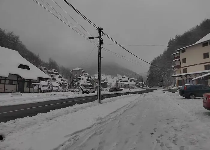 公寓 Bela Reka C206 *