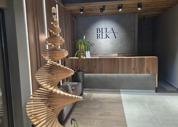 Apartman Bela Reka C206