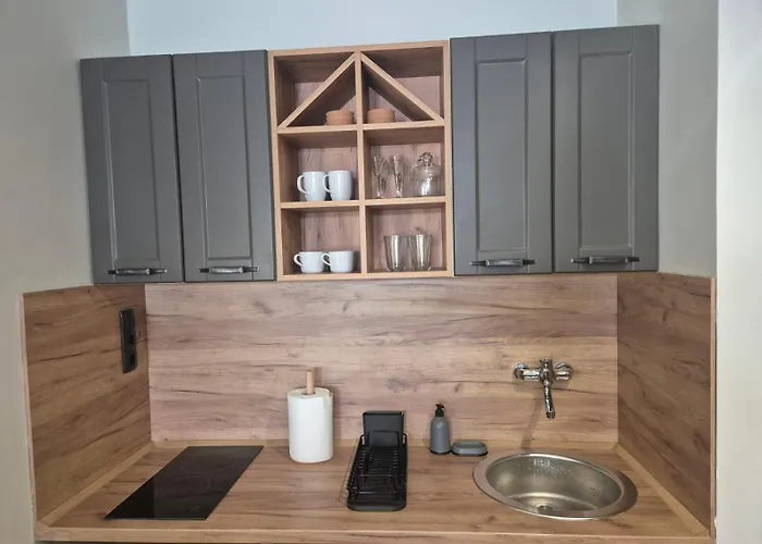 Apartman Bela Reka C206 *