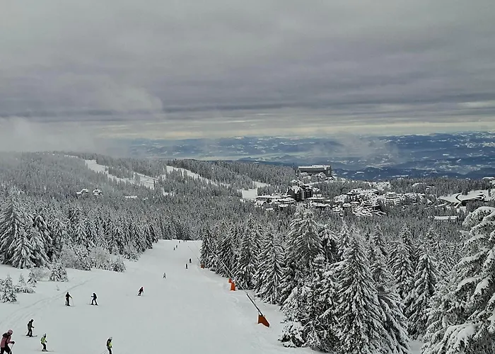 Bela Reka C206 Brzeće