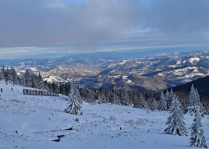 Bela Reka C206 * Brzeće