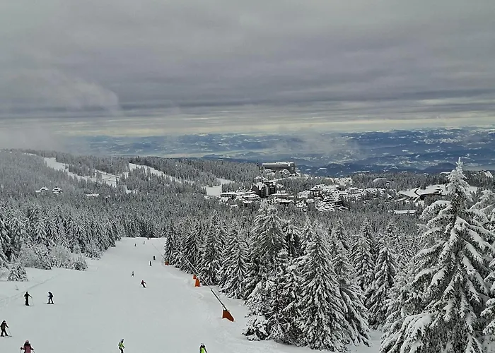 公寓 Bela Reka C206